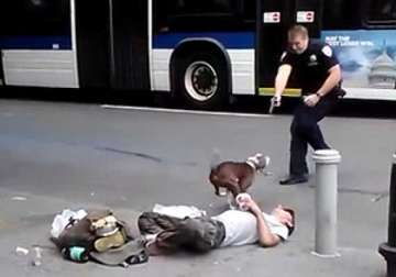 nypd officer shoots a charging pit bull in broad daylight