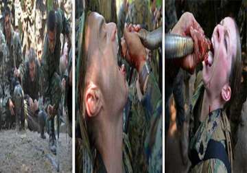 shocking pics us marines being trained to drink blood of cobra
