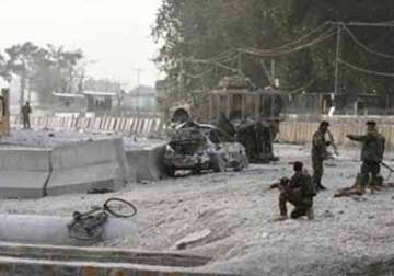 taliban bomber kills nine at afghan nato base