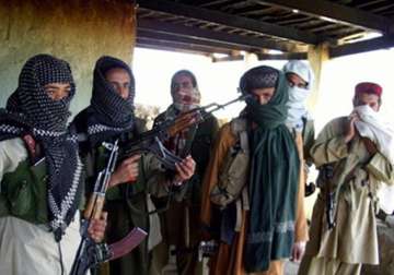 talk of peace stirs up qaida taliban tensions