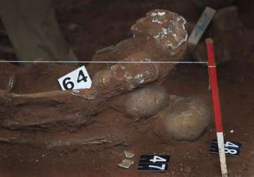 three members appointed to probe sri lanka mass grave