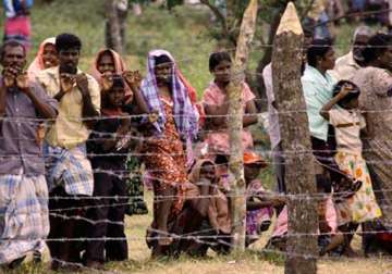 uae urged not to deport tamil refugees to sri lanka