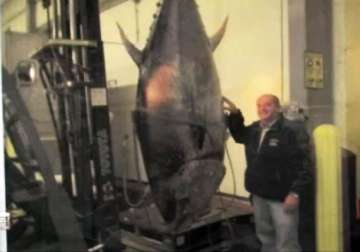 us man catches 400 kg tuna feds seize