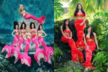 want to see mermaids visit florida