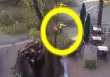 watch video how cyclist in holland barely escaped from a falling tree
