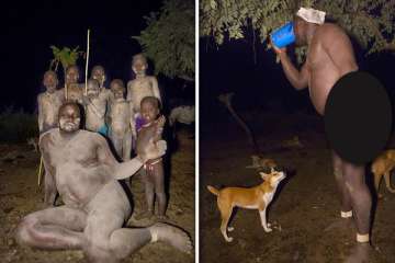 weird ethiopian tribe consumes cow s blood and milk to be the fattest watch pics