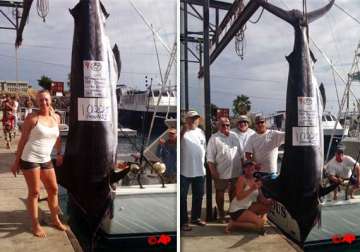 woman catches marlin weighing 428 kg in hawaii competition