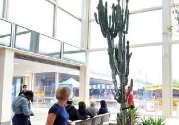 16 foot cactus severely injures us city worker