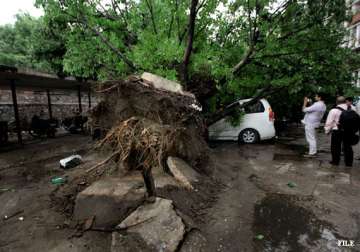 8 dead due to storm lightning in jharkhand