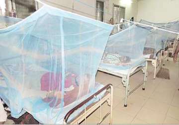 523 people test dengue positive in odisha