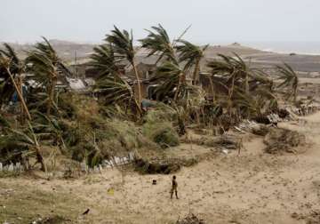 ap phailin damaged crops over 7 783 hectares in srikakulam