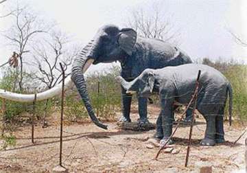 african lion extinct siwalik elephant once roamed bengal
