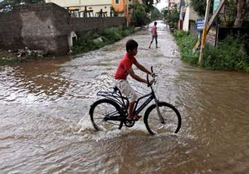 andhra rains claim 53 lives damage crops in 11 lakh hectares