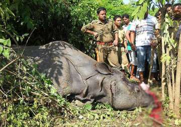 assam to battle poachers with ak 47s