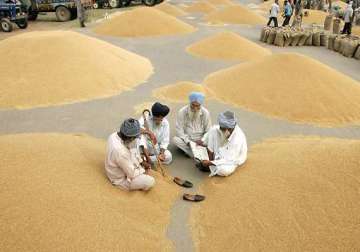 badal seeks rs.1 500 minimum support price on wheat
