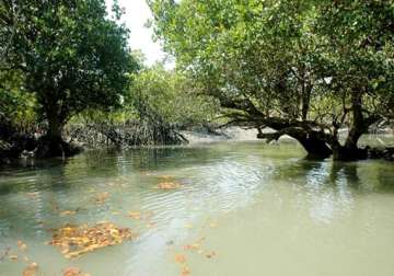 bengal comes up with new plans for sunderbans