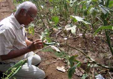 bengal districts have no entomologists