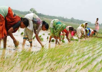 bihar set to use nuclear energy in agriculture