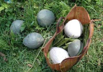 bomb recovered in manipur