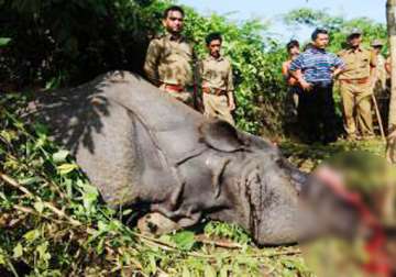 cbi team reaches kaziranga to probe rhino poaching