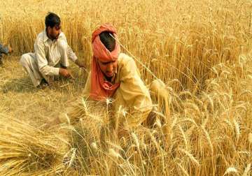 centre asks states to release 2.7 million tonnes of wheat