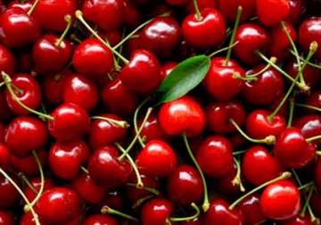 cherries lower gout attacks by a third