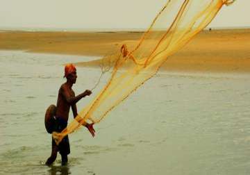 climate change unites fishermen in kutch and sundarbans