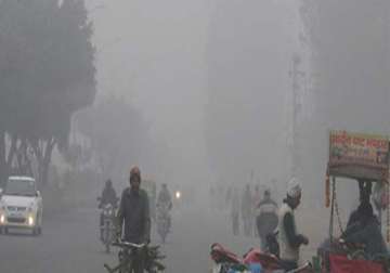 cold wave relents in punjab and haryana