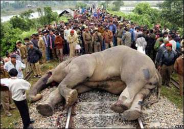 coromandel exp mows down 5 elephants to death in odisha