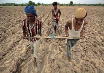 debt hit karnataka farmer commits suicide