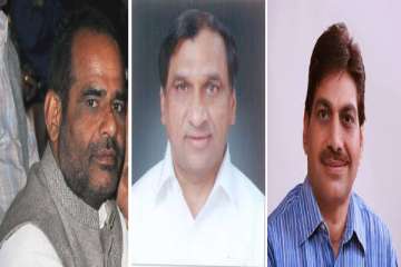 delhi polls 3 crorepati bjp mlas 29 others file nomination