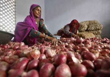 ec allows sale of onions at cheaper prices in delhi