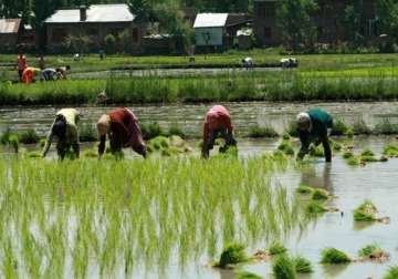 early monsoon beneficial for kharif crops
