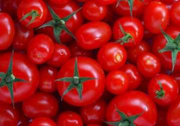 eating tomatoes lowers stroke risk