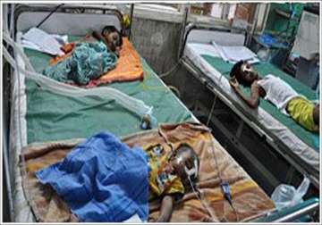 encephalitis claims 13 more lives toll climbs to 343