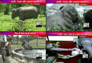 exciting videos of elephants rescue in assam bengal jharkhand