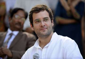 field clean candidates party workers tell rahul in amethi