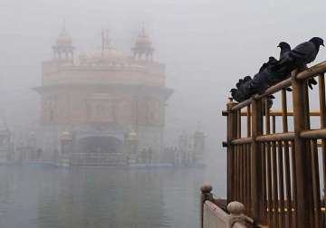 fog continues in punjab haryana showers expected in 24 hrs