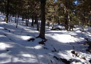 fresh snowfall in uttarakhand