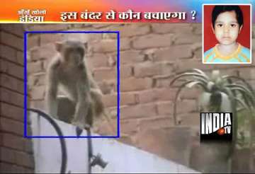 girl dies of monkey bites in south delhi