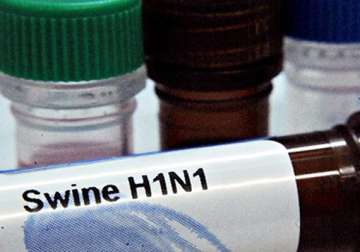 goa issues swine flu alert