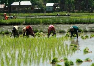 imd says monsoon deficiency comes down to 21 pc