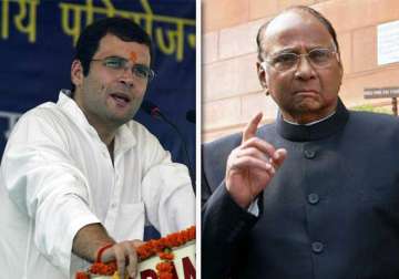 if congress doesn t do well in up rahul may be blamed says sharad pawar