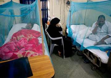 dengue death toll rises to 16 over 2 000 affected
