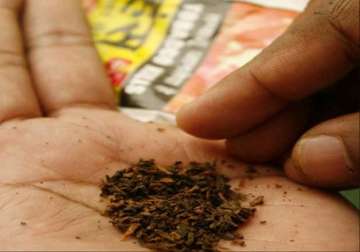 no indian study confirms tobacco use causes cancer parliamentary panel