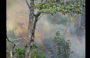 fire breaks out at rajaji park