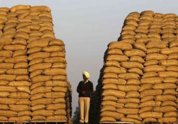 pm s panel suggests cutting food security coverage recommends cash transfer