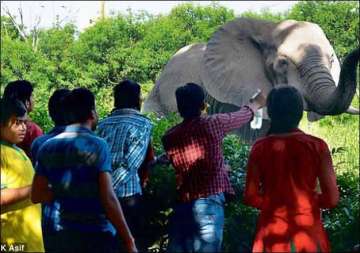 delhi zoo gets record 22 lakh visitors this summer