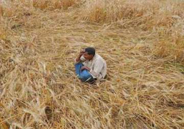 crop loss 2 farmers in aligarh die of shock over low yield