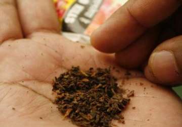 delhi govt to ban sale of chewable tobacco products soon